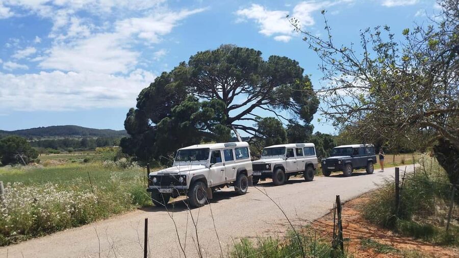 Ibiza: Jeep Safari Island Exploration - The beach picnic and swimming stop