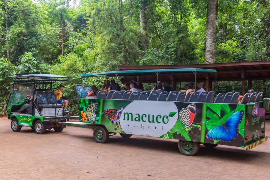 Iguassu Falls: Guided Tour & Macuco Safari on Pontoon Boats - The approach to Devil’s Throat