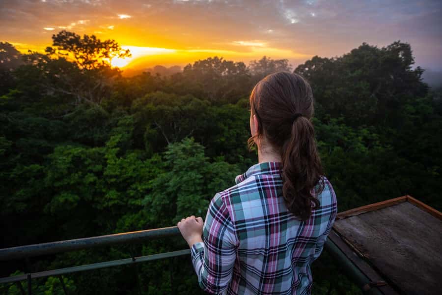Iquitos: Full Day Tour in the Jungle | Amazon Safari - Looking for gray and pink dolphins