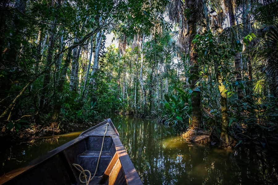 Iquitos: Full Day Tour in the Jungle | Amazon Safari - Who should book this Amazon day tour?