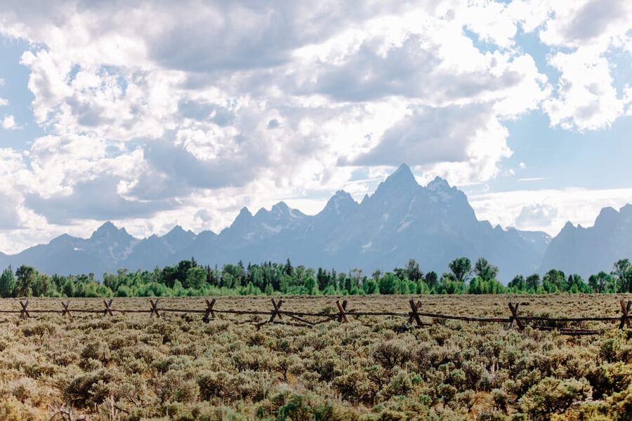 Jackson: Grand Teton Sunrise Safari with Naturalist Guide - Leaving Jackson in a small, comfortable vehicle