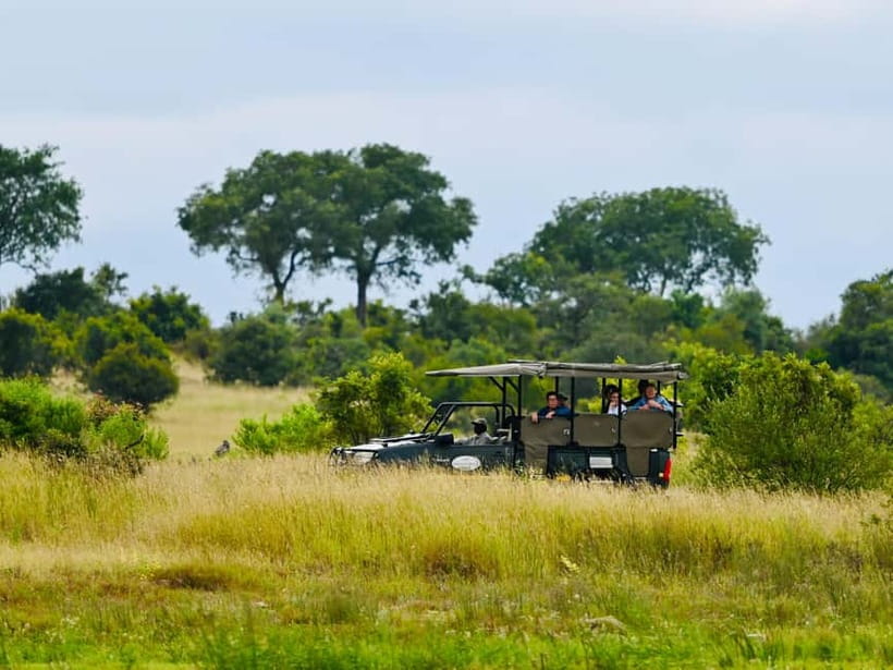 Jaipur: Jhalana Amagarh Leopard Reserve 4×4 Jeep Safari - What happens inside Jhalana Amagarh