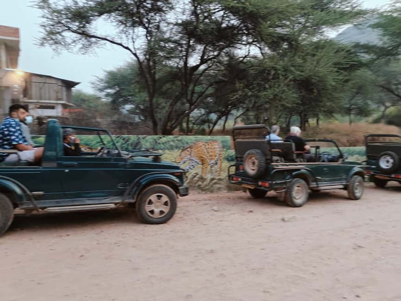 Jaipur: Jhalana Amagarh Leopard Reserve 4×4 Jeep Safari - Price, options, and what counts as good value