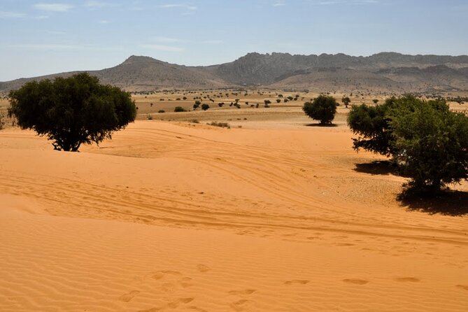 Jeep 4x4 Safari Atlantic Ocean & Desert Dunes with Berber Lunch - Key points to know before you book