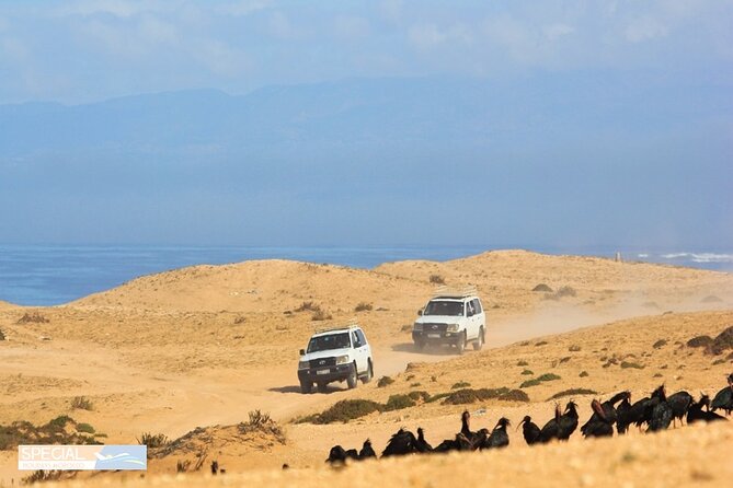 Jeep 4x4 Safari Atlantic Ocean & Desert Dunes with Berber Lunch - A Berber lunch with tagine and couscous