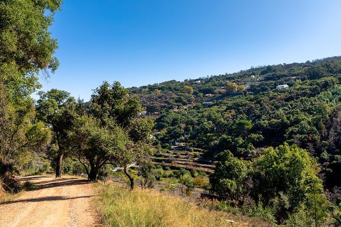 Jeep Safari #1 in Algarve - What the off-road sections are really like