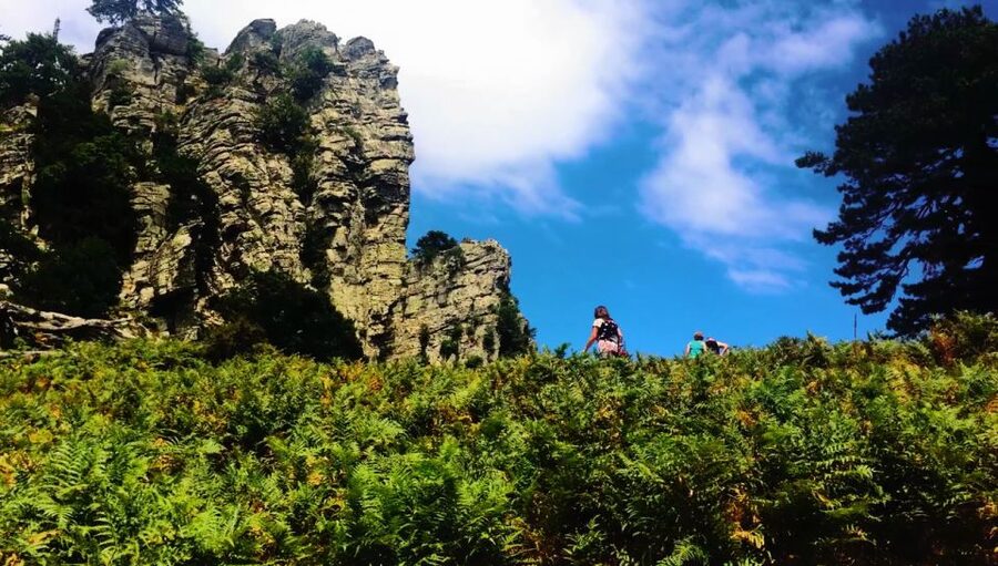 Jeep Safari in Thassos Mountain with picnic fruits & wine - Key points to know before you book