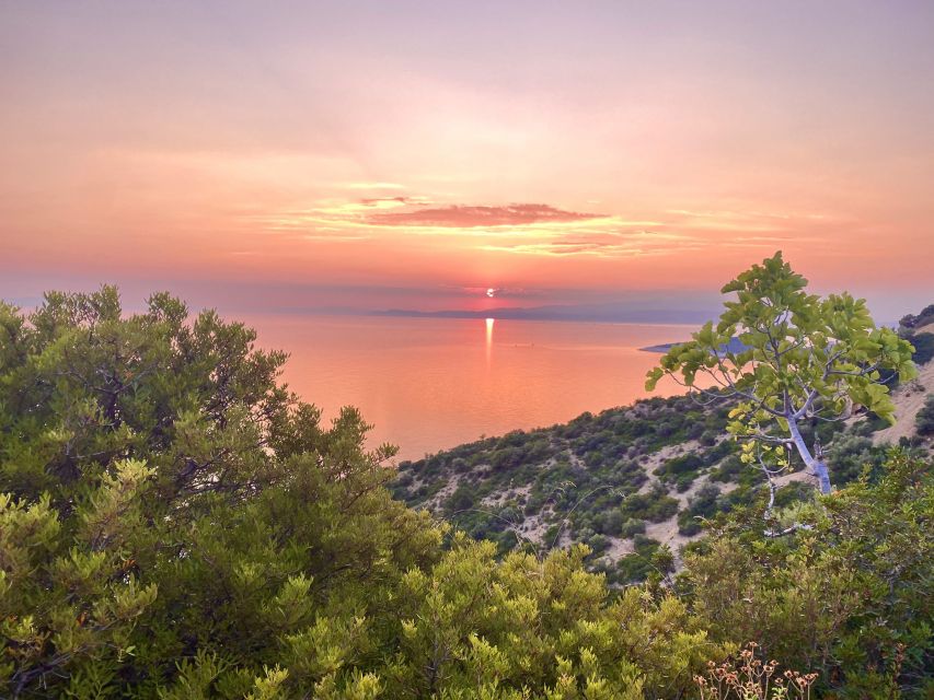 Jeep Safari in Thassos Mountain with picnic fruits & wine - Cold spring water high above the coast