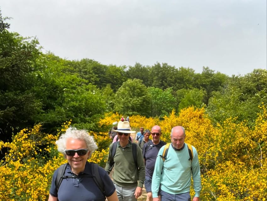 Jeep safari in the Aspromonte National Park - Finishing at the farmhouse