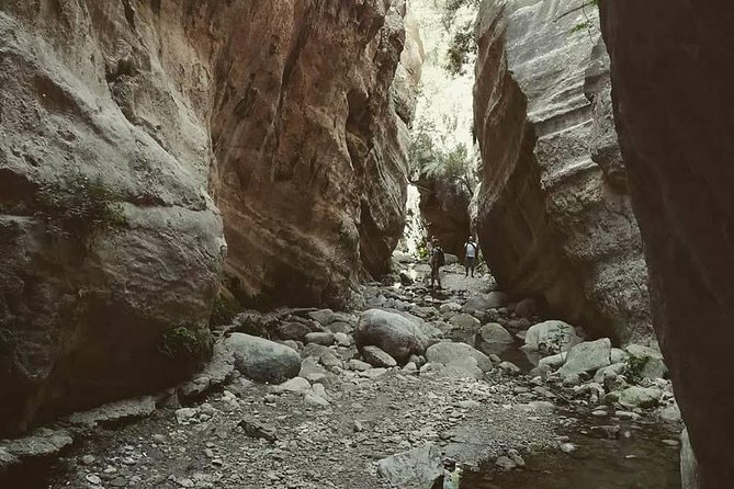 Jeep Safari to Akamas National Park: Avakas Gorge Tour from Paphos - Walking into Avakas Gorge