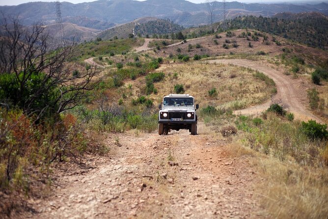 Jeep Safari to Akamas National Park: Avakas Gorge Tour from Paphos - Lunch in Latchi and a possible winery stop