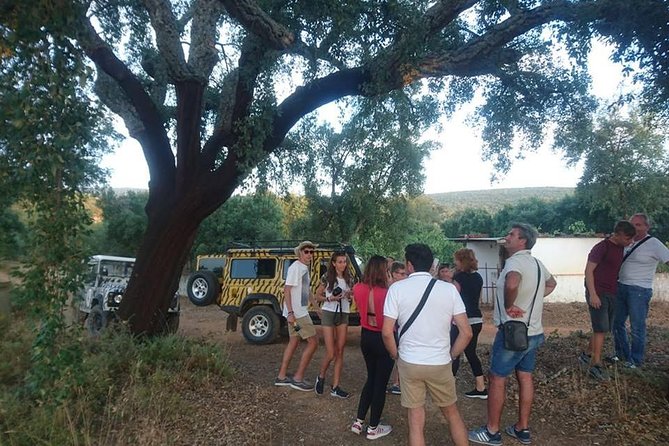 Jeep Safari Tour - Full Day - Tastings that make the day feel local