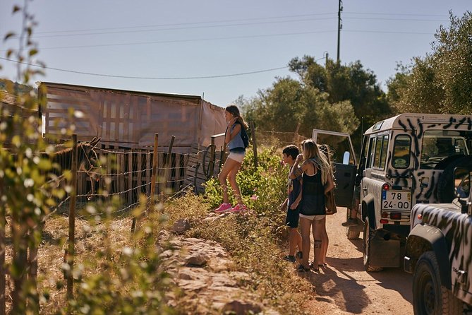 Jeep Safari Tour - Full Day - Paderne Castle and the story behind the ruins