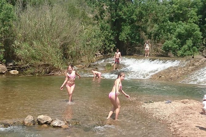 Jeep Safari Tour - Half Day - Farms, fruit, cork, and the firewater tasting