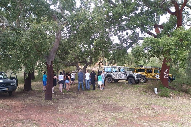 Jeep Safari Tour - Half Day - Sarnadas and the high viewpoints