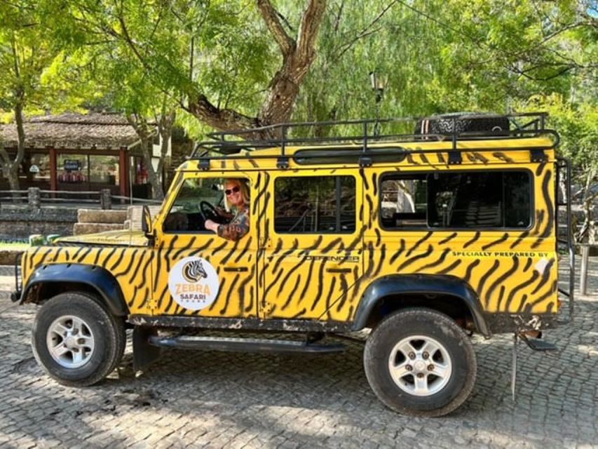 Jeep Safari Tours- Half Day - Key points to know before booking