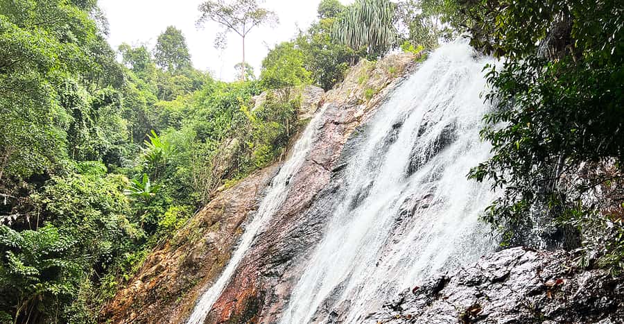 Jeep Tour Koh Samui Jungle Safari Full Day Adventure - Secret Buddha Garden: pleasant, unusual, and not for everyone