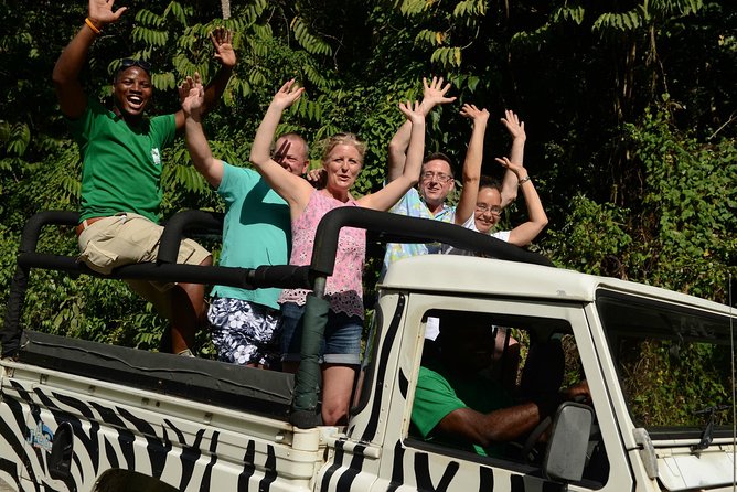 Jeep & Zip Safari St. Lucia From Castries - Treetop Adventure Park: one hour of action