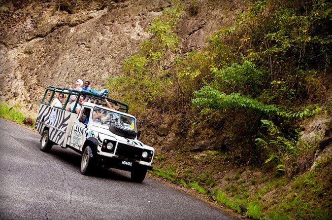 Jeep & Zip Safari St. Lucia From Castries - Island appetizers and Atlantic views