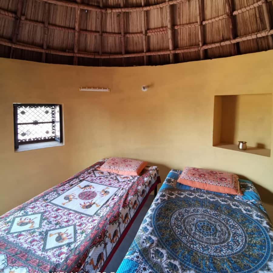 Jodhpur Camel Safari & Overnight Stay In Desert With Sumer - Key points to know before booking