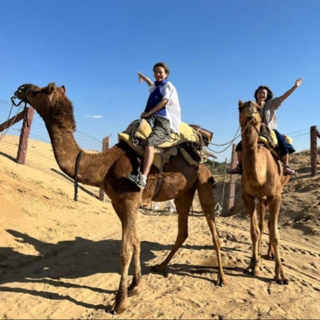 Jodhpur: Desert Camel and Jeep Safari with Traditional Food - Meeting Sumer’s family in their village
