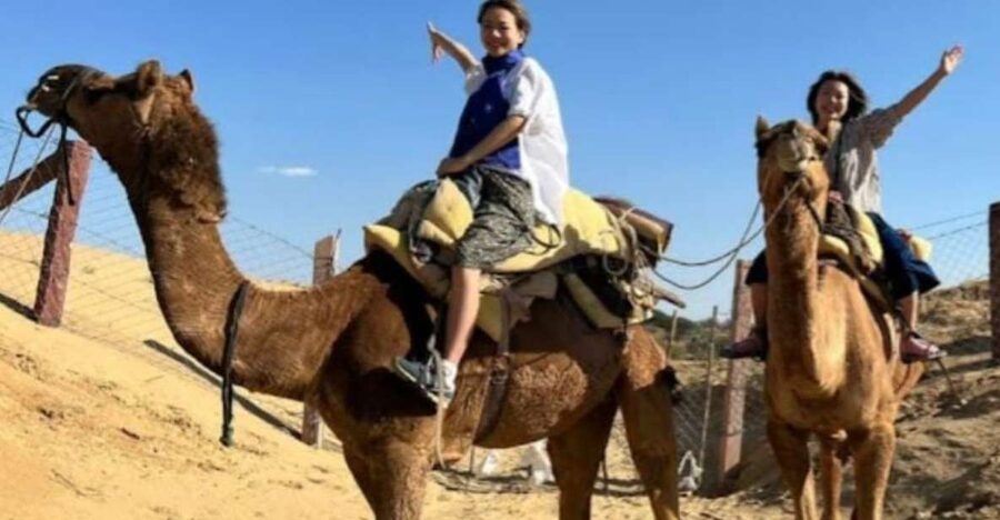 Jodhpur: Desert Camel and Jeep Safari with Traditional Food - Choosing between the camel-only and camel-plus-jeep options