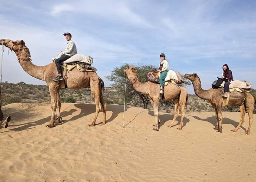 Jodhpur: Overnight Stay in Desert with Camel Safari - A warm welcome at the village home