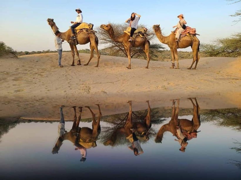 Jodhpur: Overnight Stay in Desert with Camel Safari - Sunset, Marwari food, and a fire-lit evening