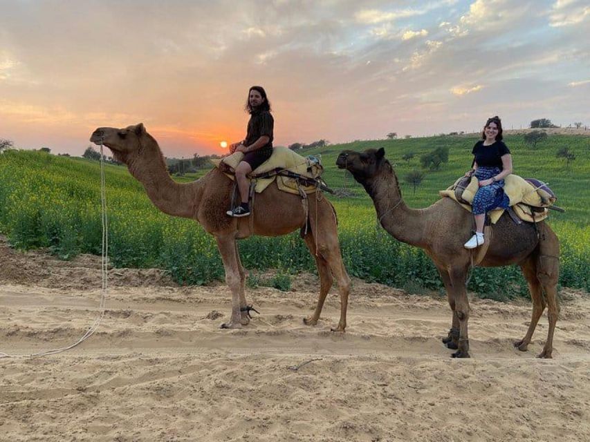 Jodhpur: Overnight Stay in Desert with Camel Safari - Hut or stars: choosing your overnight stay