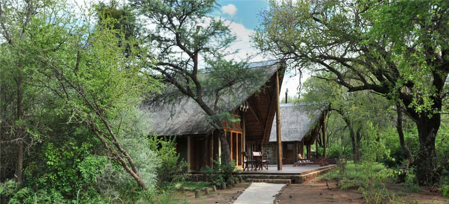 Johannesburg: 2-Day 4-Star Pilanesberg Safari - Final verdict: a busy, worthwhile two-day safari