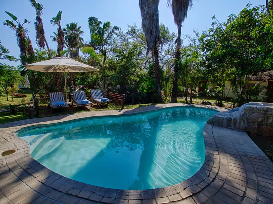 Johannesburg: 3-Day Classic Kruger National Park Safari Tour - Day two: a full day at Orpen and Satara
