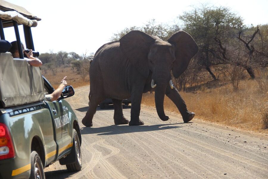 Johannesburg: 3-Day Classic Kruger National Park Safari Tour - The lodge, meals, and comfort level