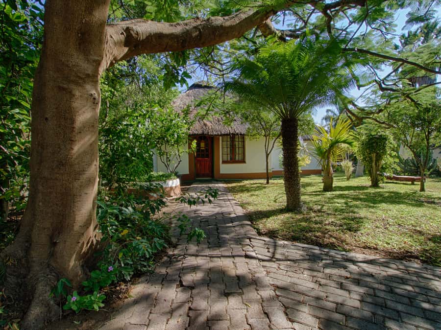 Johannesburg: 3-Day Classic Kruger National Park Safari Tour - My verdict: a strong short safari with a busy schedule
