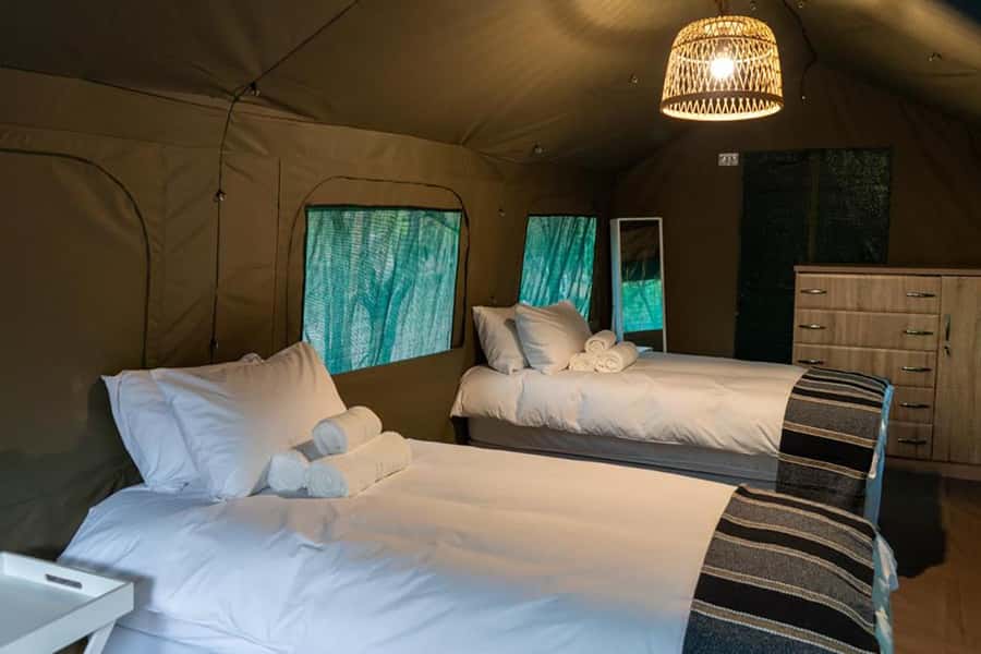 Johannesburg: 3-Day Kruger Budget Glamping Safari - From OR Tambo to Sekekama Tented Camp