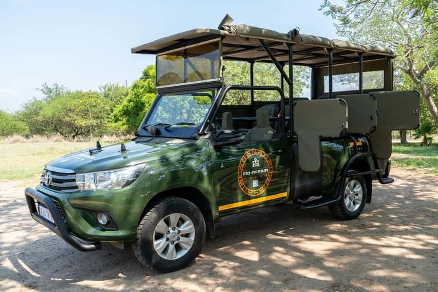 Johannesburg: 3-Day Kruger Budget Glamping Safari - Two nights of glamping and boma dinners