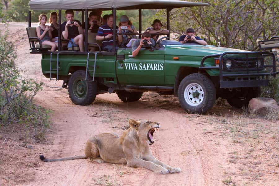 Johannesburg: 4-Day Classic Kruger National Park Safari - Key points at a glance