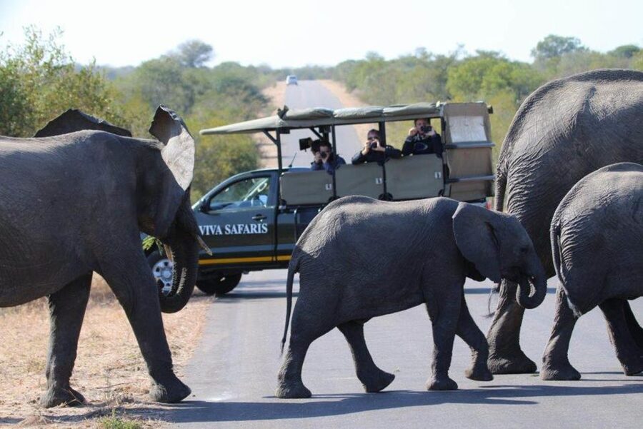Johannesburg: 4-Day Classic Kruger National Park Safari - Should you book it?