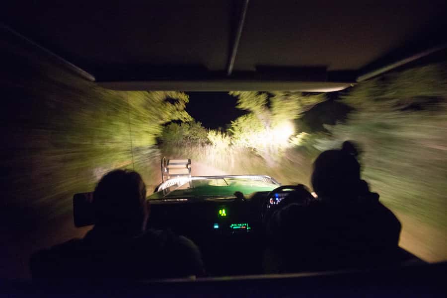 Johannesburg: 4-Day Classic Kruger National Park Safari - Day two: four hours on foot in Balule