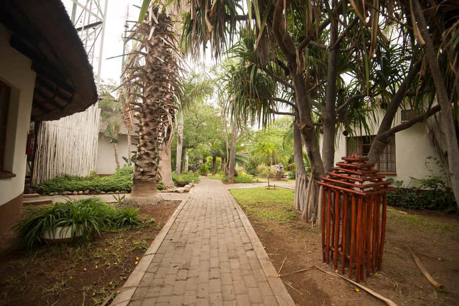 Johannesburg: 4-Day Classic Kruger National Park Safari - Who should book this safari