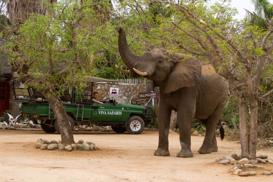 Johannesburg: 5-Day Classic Kruger National Park Safari - Who should book this safari