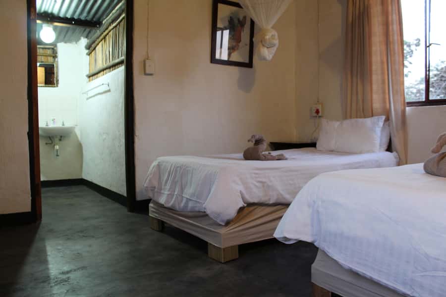 Johannesburg: Affordable 3 Day Kruger Park Safari - Should you book the three-day Kruger trip?