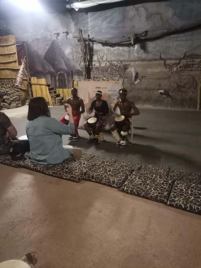 Johannesburg: Lion Park Safari and Cultural Village Tour - Lesedi Cultural Village and five traditional homesteads