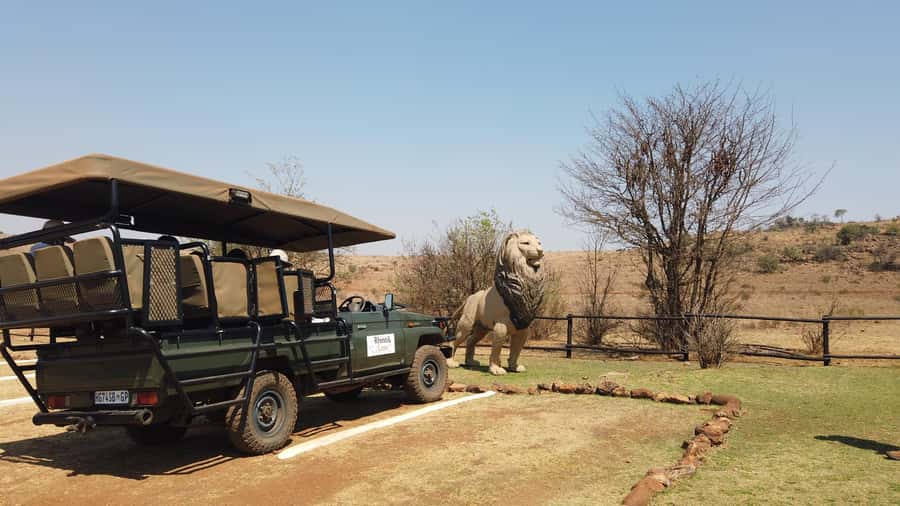 Johannesburg: Rhino and Lion Nature Reserve Safari - Souvenirs and the return to Johannesburg