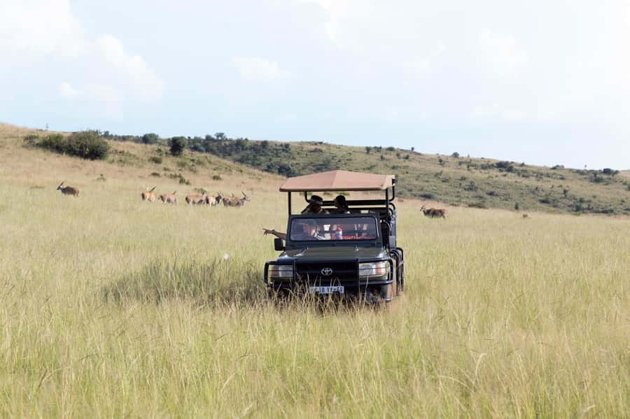 Johannesburg: Rhino and Lion Nature Reserve Safari - Boarding the open safari vehicle