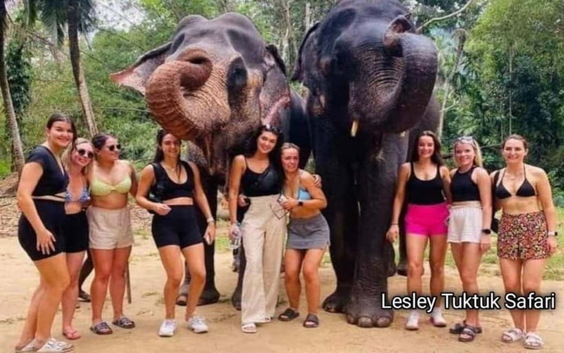 Kandy : Pinnawala Elephant Safari Private Guid Tuk Tuk Tour - Key points to know before you book