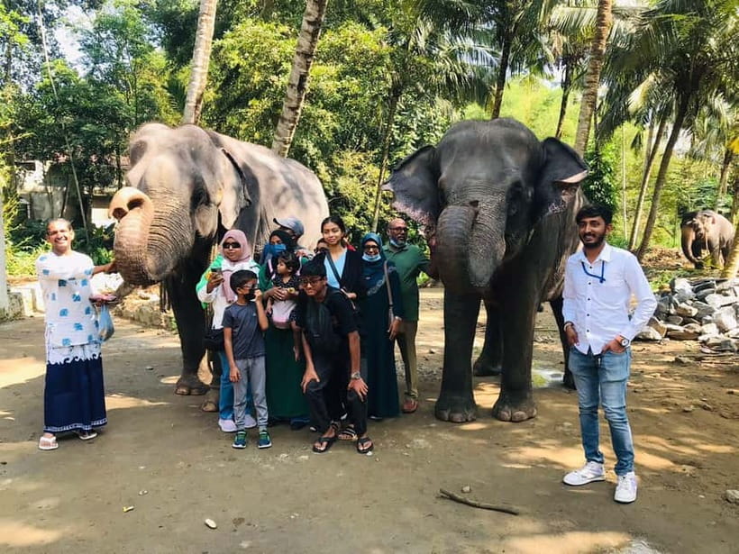 Kandy : Pinnawala Elephant Safari Private Guid Tuk Tuk Tour - Pinnawala is close contact, not a wildlife reserve
