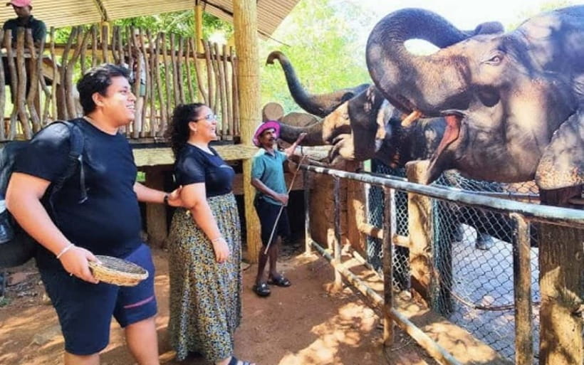 Kandy : Pinnawala Elephant Safari Private Guid Tuk Tuk Tour - Tea, orchids, and Kandy’s cultivated side