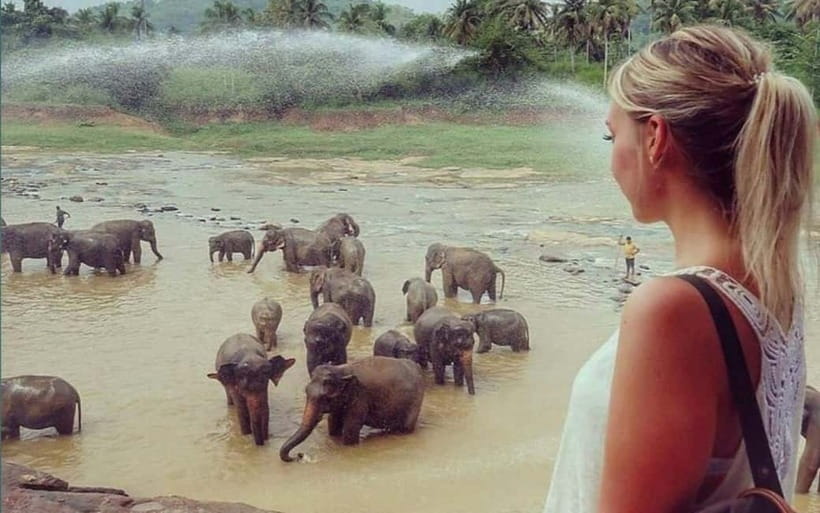 Kandy : Pinnawala Elephant Safari Private Guid Tuk Tuk Tour - The final Kandy circuit packs in local color