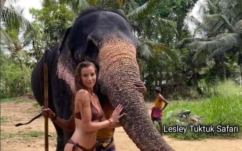 Kandy : Pinnawala Elephant Safari Private Guid Tuk Tuk Tour - The pace, comfort, and practical limits