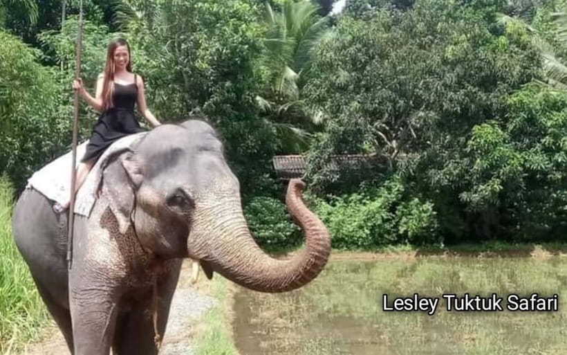 Kandy : Pinnawala Elephant Safari Private Guid Tuk Tuk Tour - A small tuk-tuk changes the feel of the day
